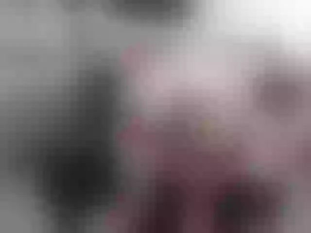 Live sex webcam photo for hemilihurtado #290271972