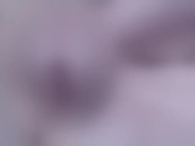 Live sex webcam photo for hhardkis #292849206