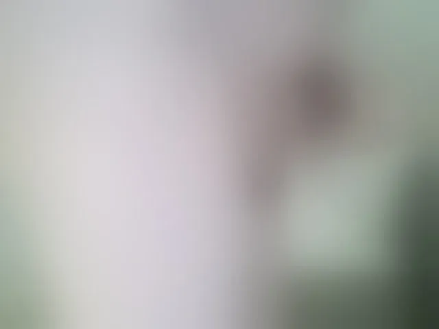 Live sex webcam photo for hhardkis #293659947