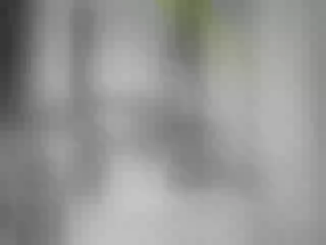 Live sex webcam photo for hi-bounty #292033397