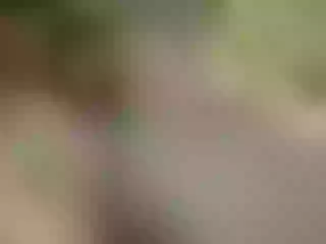 Live sex webcam photo for hi-bounty #292069593