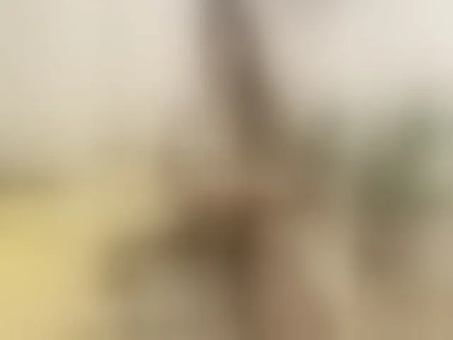 Live sex webcam photo for hi-bounty #293962761
