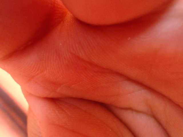 Live sex webcam photo for holly20a #287995006