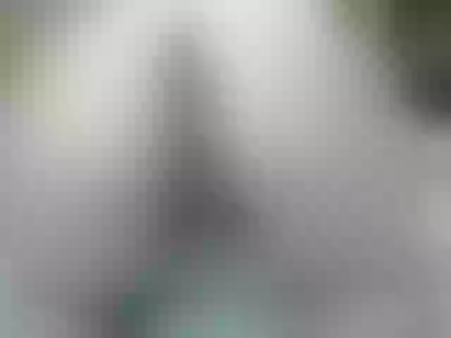 Live sex webcam photo for hollycum #276954624