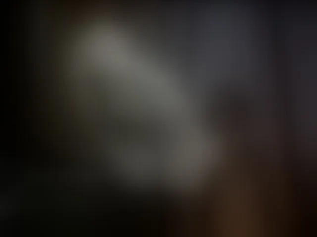 Live sex webcam photo for hollyharlot #291359419