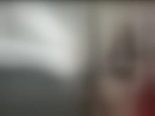 Live sex webcam photo for hollyharlot #293612668