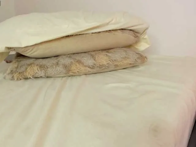 Live sex webcam photo for honey-girl1 #272995462