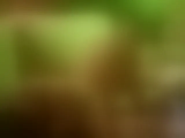 Live sex webcam photo for hor-neyJ0zy #293718541