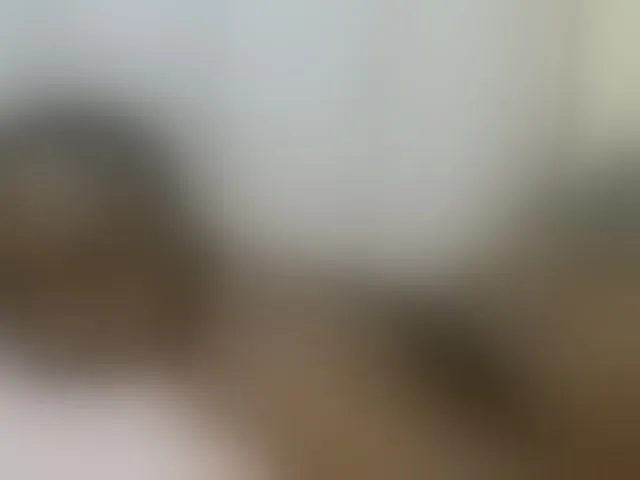 Live sex webcam photo for hot-masha #291216049