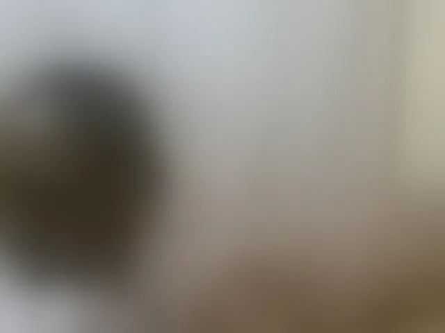 Live sex webcam photo for hot-masha #291833980