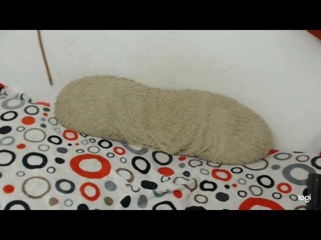 Live sex webcam photo for hot-men-sex #274412378