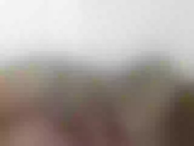 Live sex webcam photo for hotasianmae #275535646
