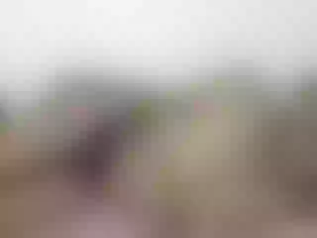 Live sex webcam photo for hotasianmae #275617017