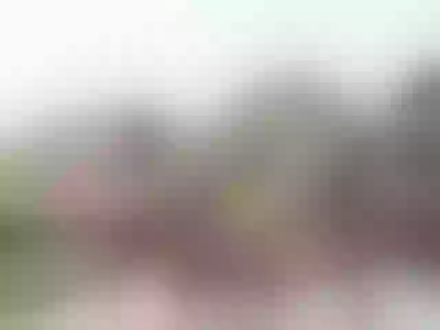 Live sex webcam photo for hotasianmae #275622928