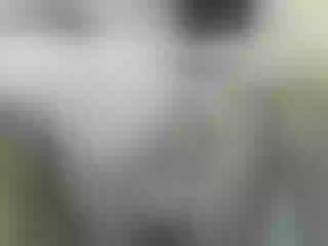 Live sex webcam photo for hotasianmae #275635964