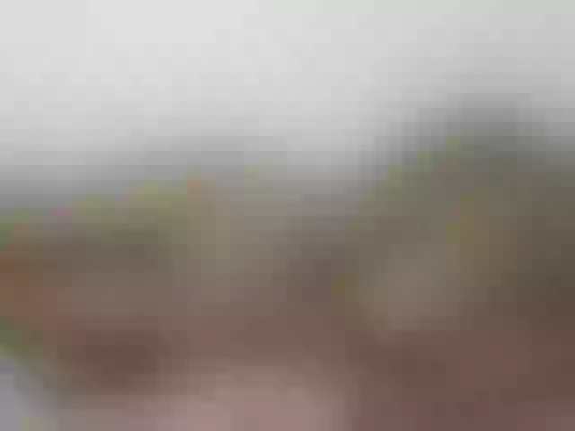 Live sex webcam photo for hotasianmae #275716582