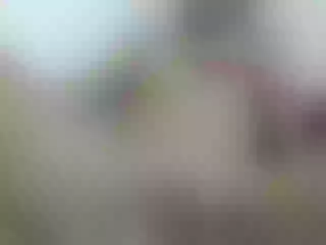 Live sex webcam photo for hotasianmae #275854504