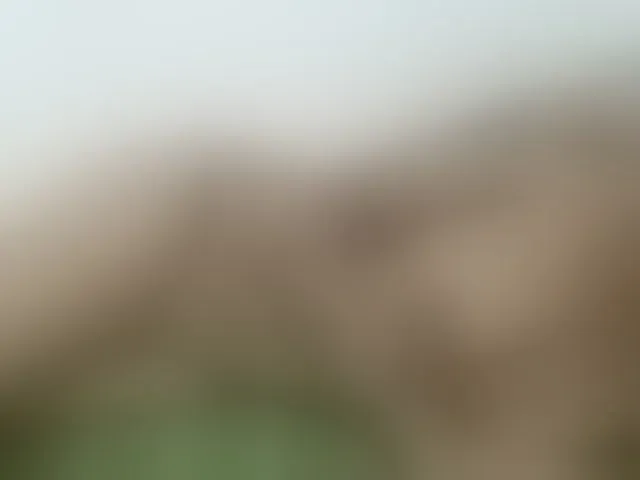 Live sex webcam photo for hotasianmae #276195178