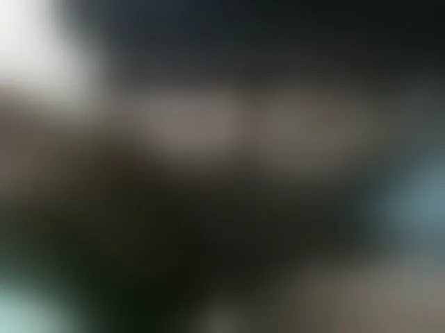 Live sex webcam photo for hotfah #276087466