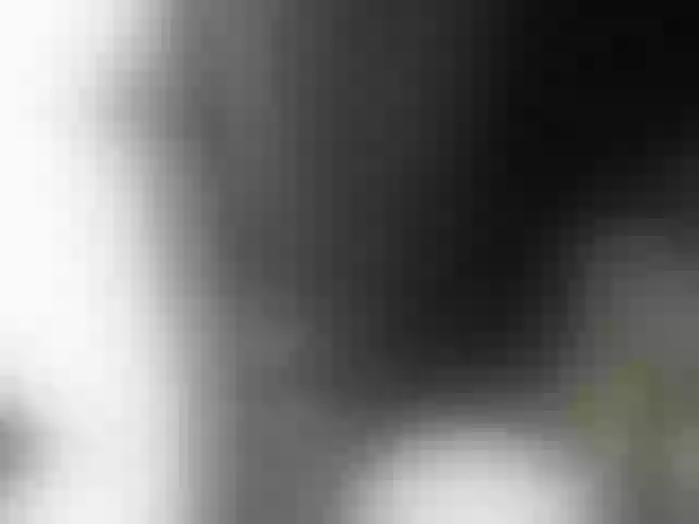 Live sex webcam photo for hotfah #276209500