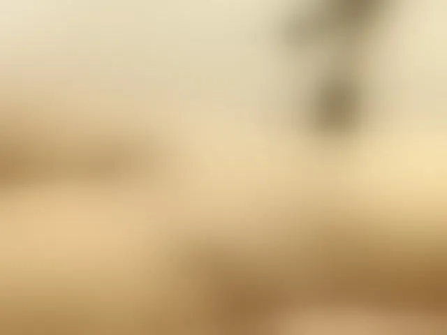 Live sex webcam photo for hotgirls2 #293854260