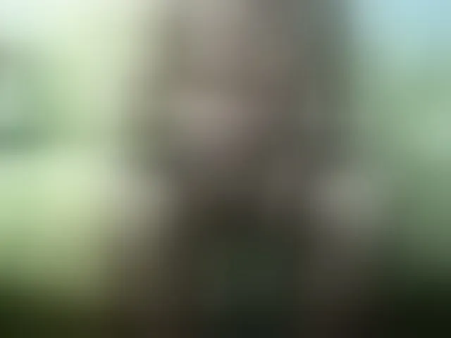 Live sex webcam photo for hotguy13 #277219004