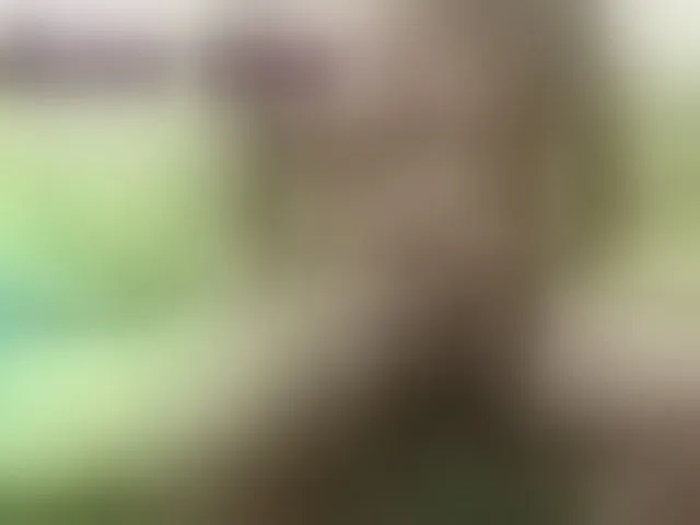 Live sex webcam photo for hotguy13 #277864500