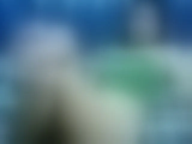Live sex webcam photo for hotjen18 #289341176