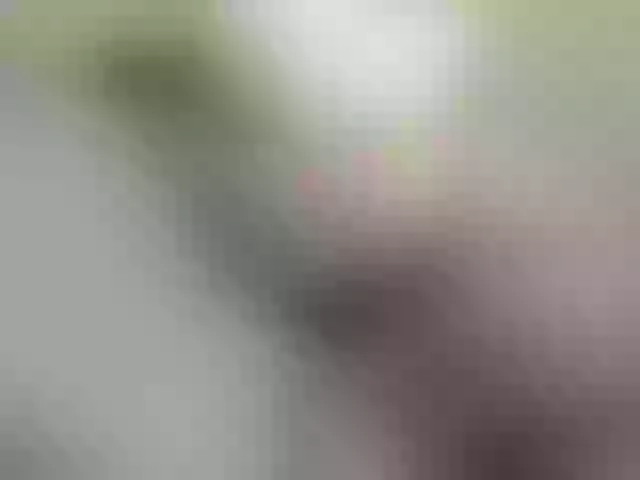 Live sex webcam photo for hotjuicybooty #274564404