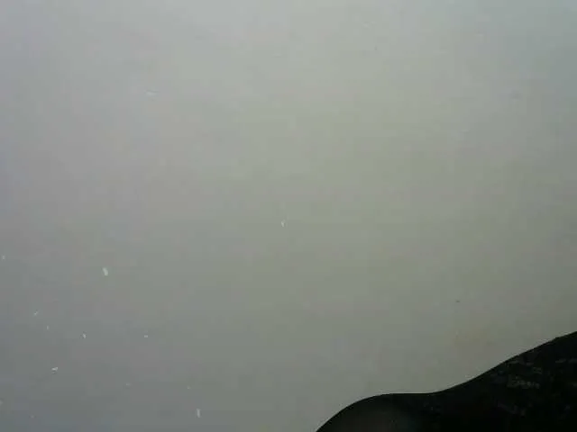 Live sex webcam photo for hotkab #275376485