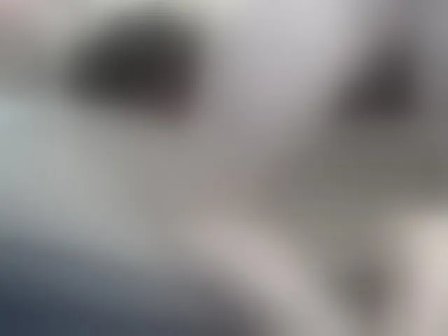 Live sex webcam photo for hotmodel1984 #293164269