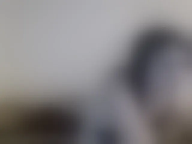 Live sex webcam photo for hotmodel1984 #293854520