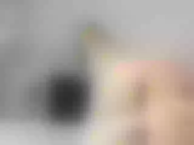 Live sex webcam photo for hotvik #272374522