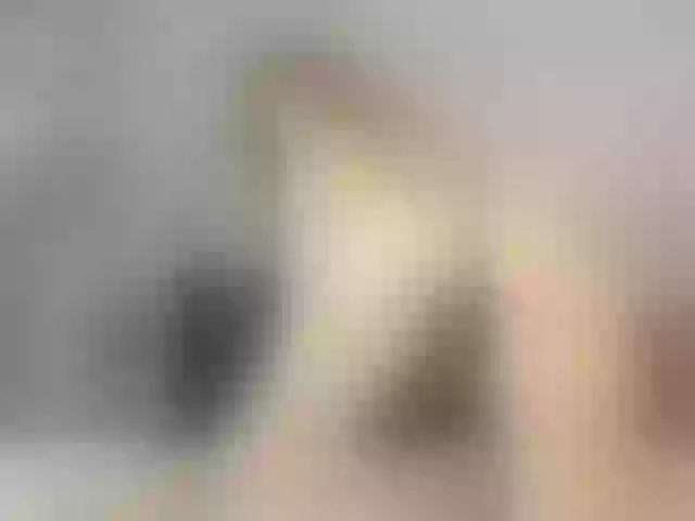 Live sex webcam photo for hotvik #272528408