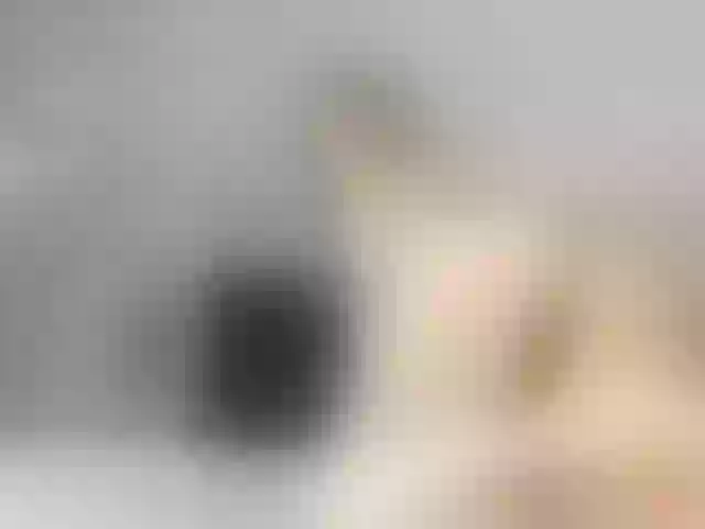 Live sex webcam photo for hotvik #275987596