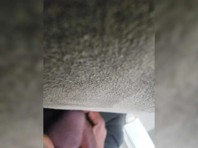 Live sex webcam photo for hugeafrodick #277319766