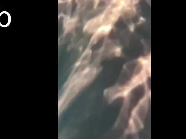 Live sex webcam photo for icevanillaice #277960563