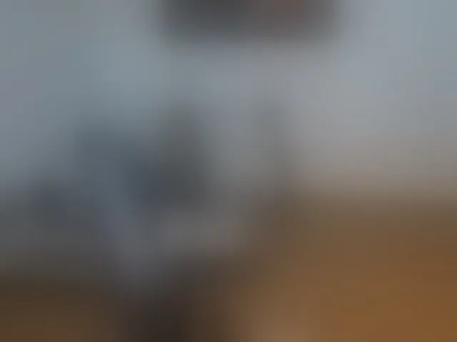 Live sex webcam photo for illymaus #293919978