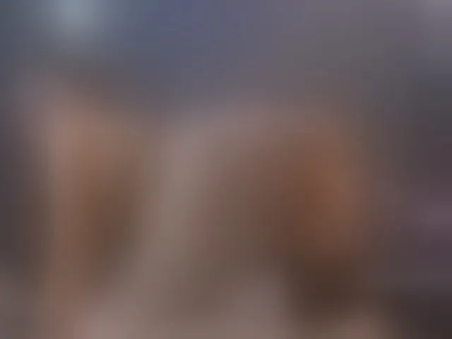 Live sex webcam photo for im-your-love #294293508