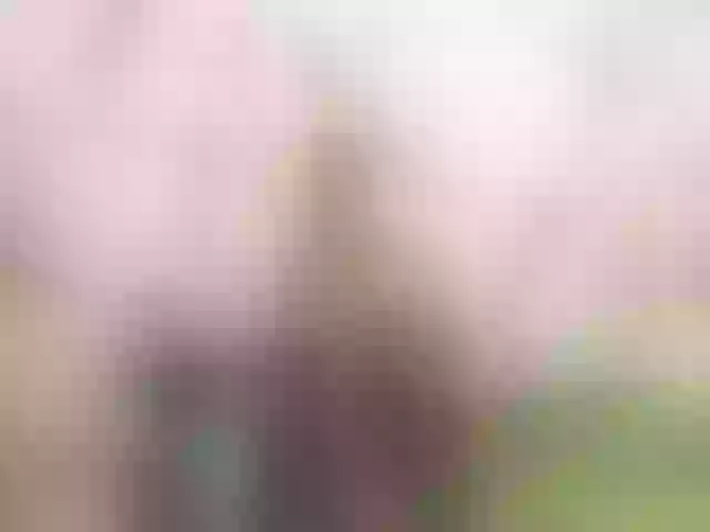 Live sex webcam photo for indianerotica69 #292028797