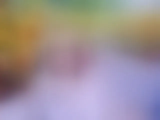 Live sex webcam photo for indianroxy #293855962