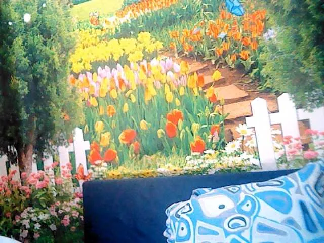 Live sex webcam photo for indianstar75 #276114030