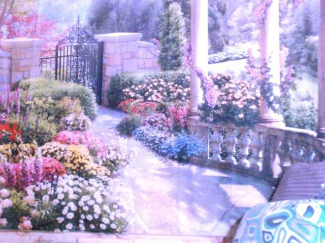 Live sex webcam photo for indianstar75 #290903776