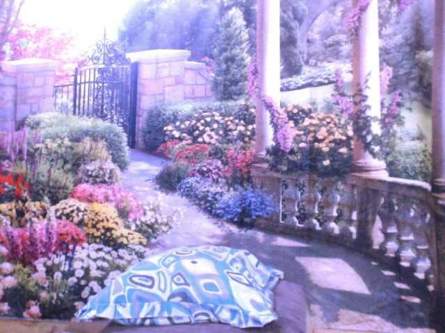 Live sex webcam photo for indianstar75 #290992285