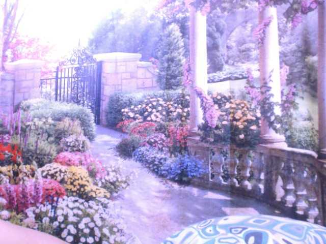 Live sex webcam photo for indianstar75 #291062610