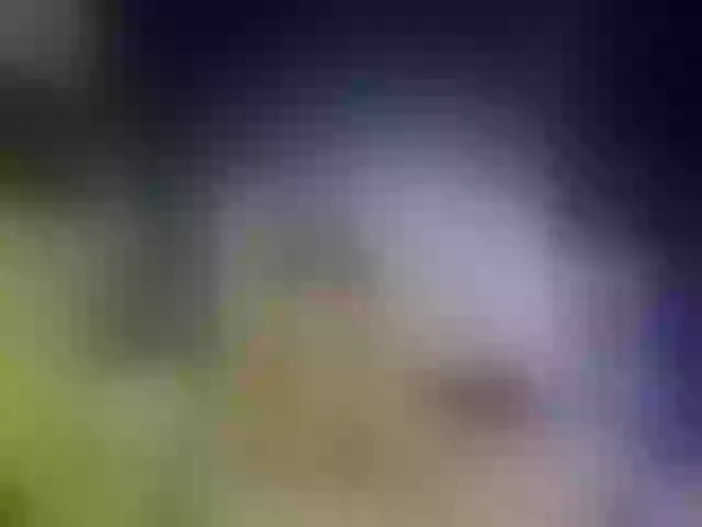 Live sex webcam photo for innacofeina #272697673