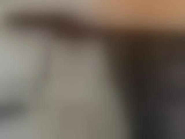 Live sex webcam photo for irisreid #293139358