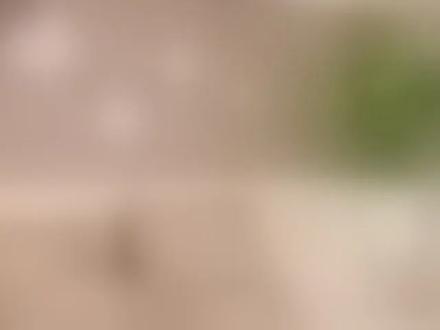Live sex webcam photo for irisreid #293789191