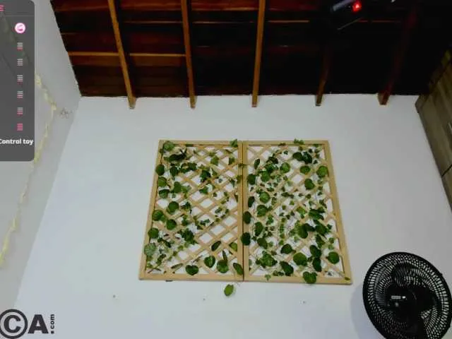 Live sex webcam photo for isabelasweet #291969894