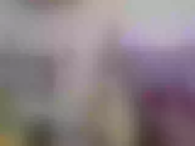 Live sex webcam photo for Isabella16 #273081766